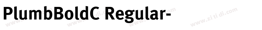 PlumbBoldC Regular字体转换